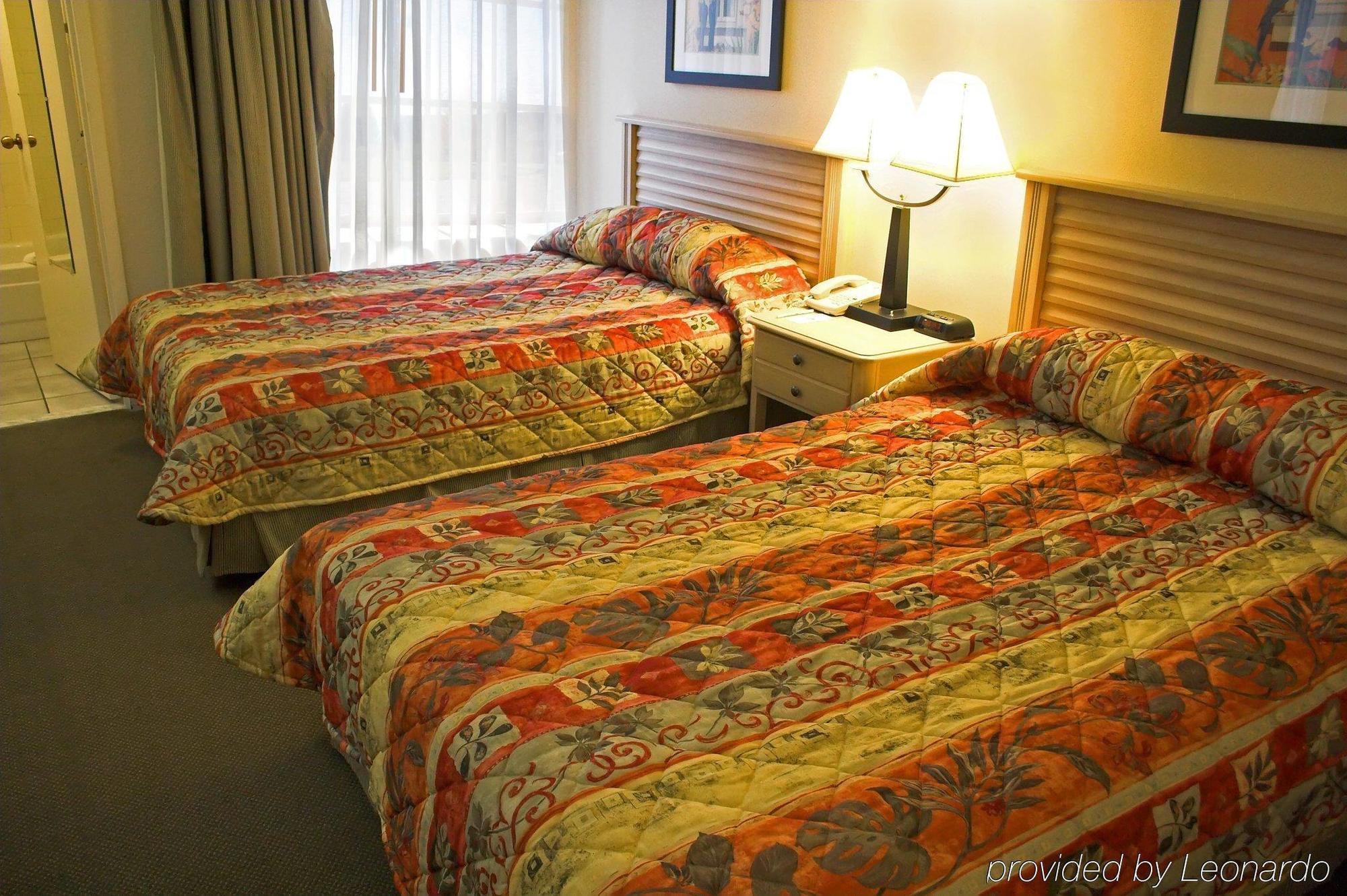 Hotel Baymont By Wyndham Tampa Near Busch Gardens Pokoj fotografie