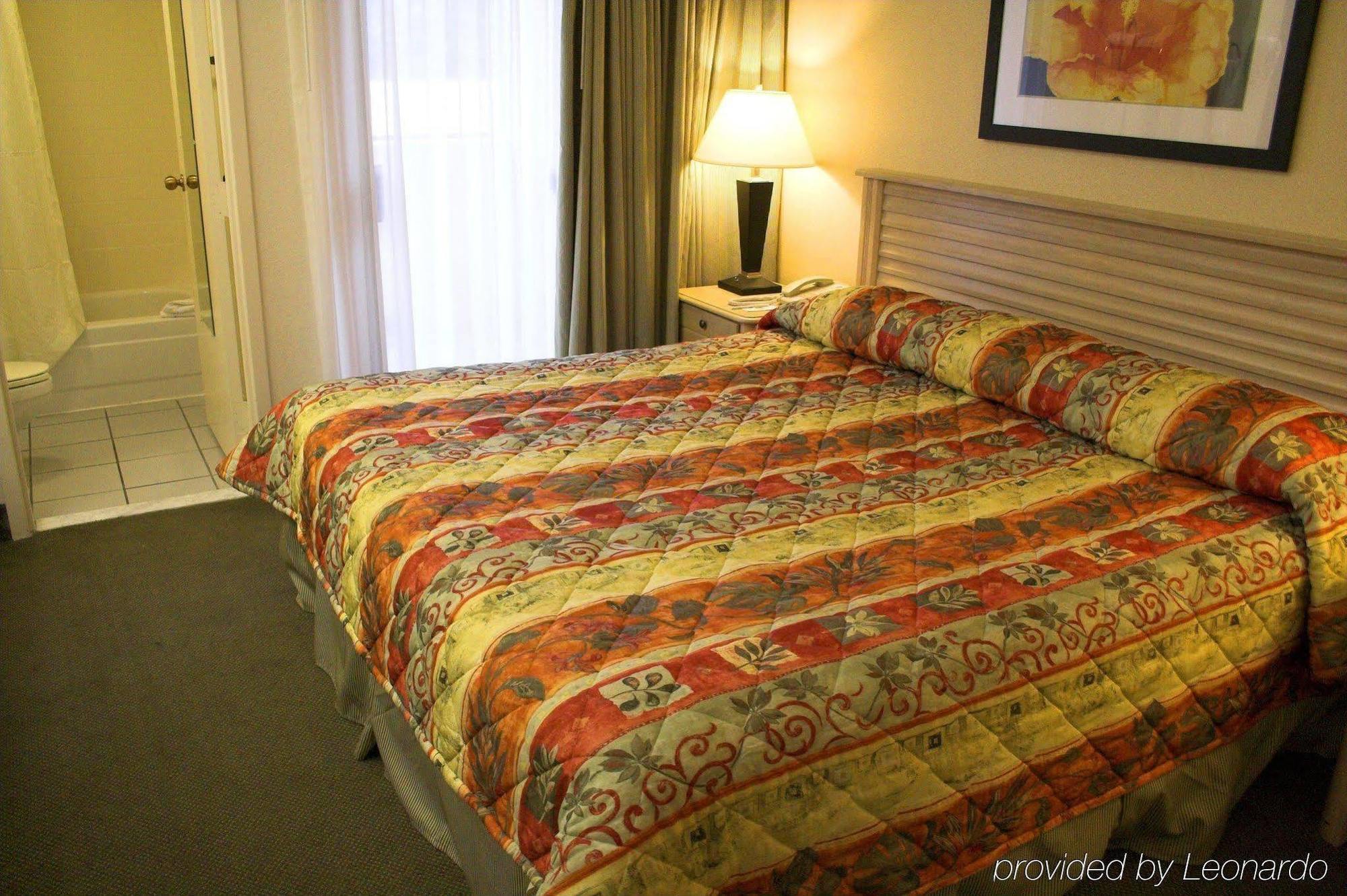Hotel Baymont By Wyndham Tampa Near Busch Gardens Pokoj fotografie