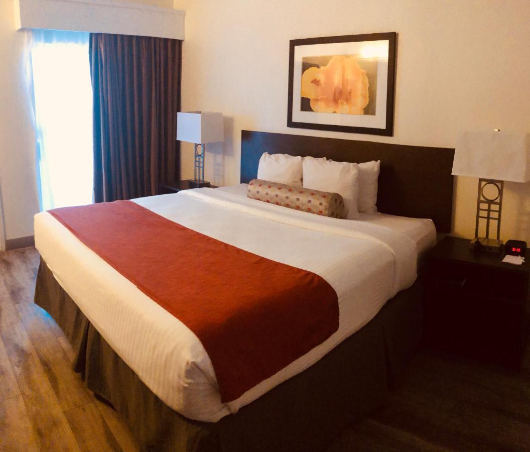 Hotel Baymont By Wyndham Tampa Near Busch Gardens Exteriér fotografie